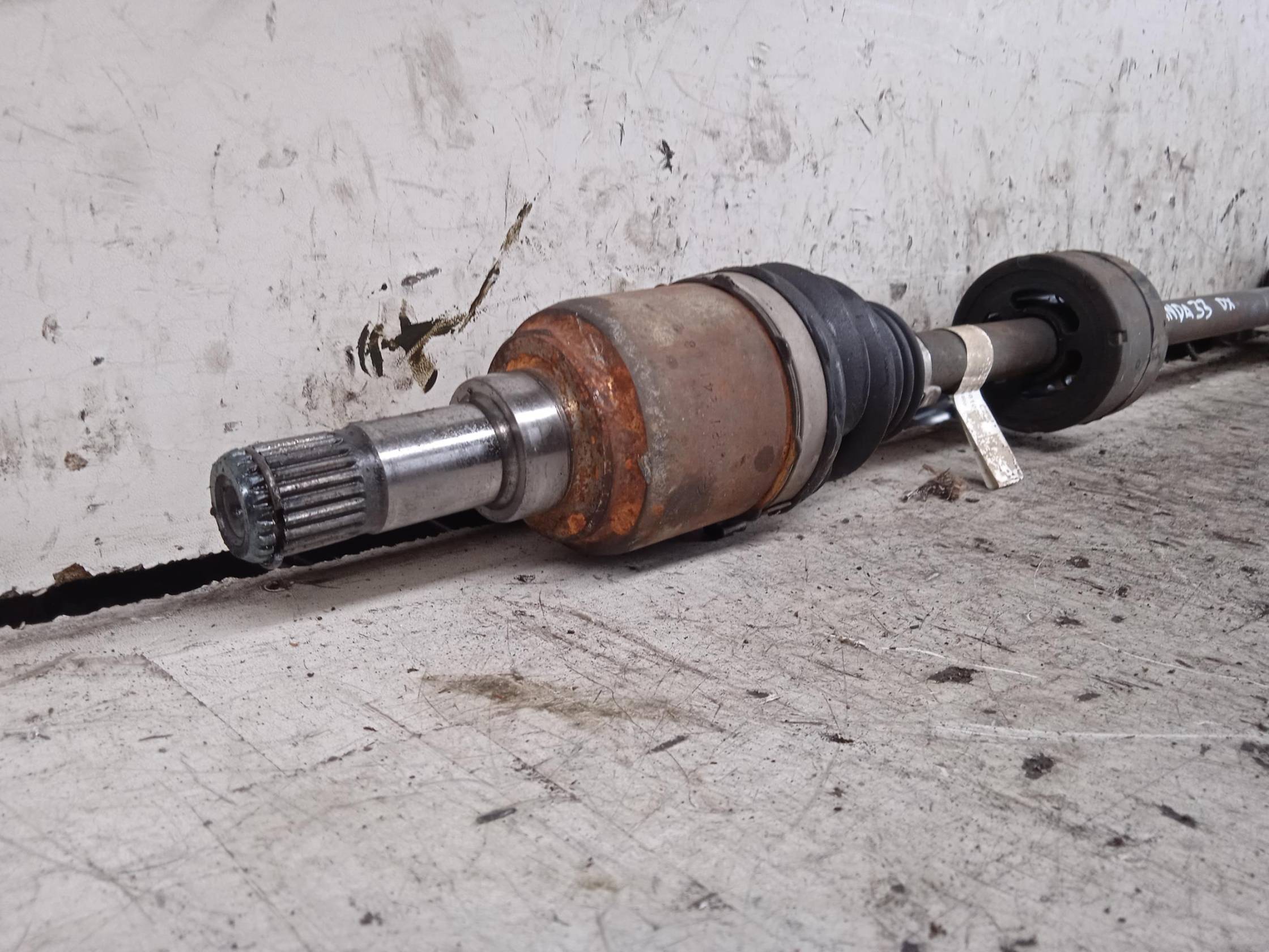 Semialbero ant. compl. dx.